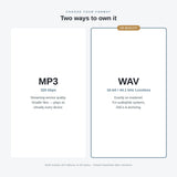 Format guide: MP3 320 kbps vs WAV 16-bit/44.1 kHz lossless CD quality